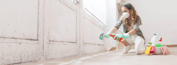 Best Emergency Mold Remediation  in Burke, VA